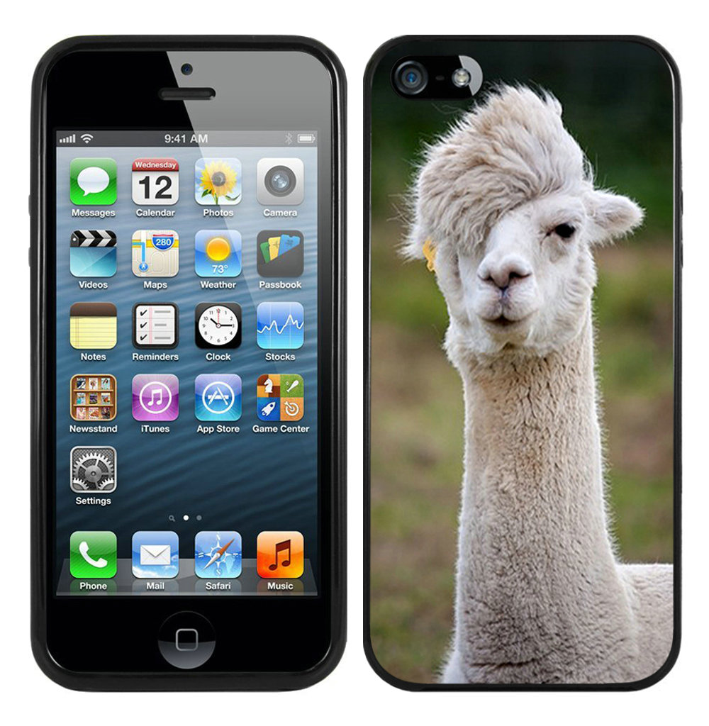 baby alpaca Black iPhone 5 5S Case